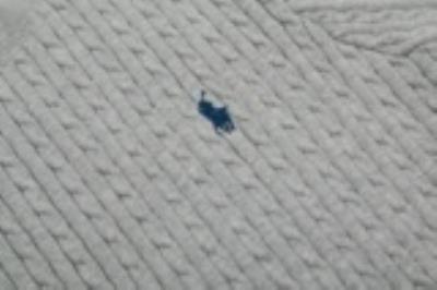 wholesale quality men ralph lauren polo shirts model no. 2798